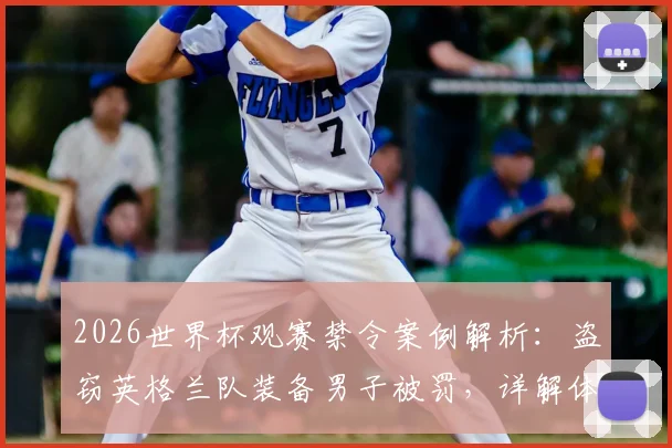 2026世界杯观赛禁令案例解析:盗窃英格兰队装备男子被罚,详解体育赛事盗窃法律后果