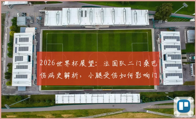 2026世界杯展望:法国队二门桑巴伤病史解析,小腿受伤如何影响门将位置竞争与球队备战